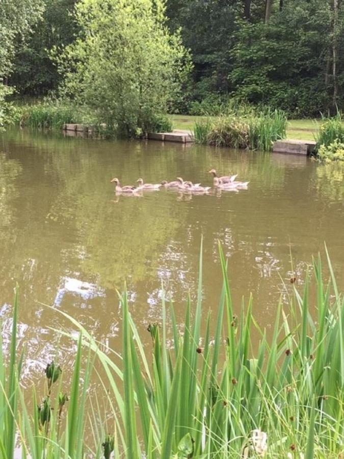 Hollicarrs Holiday Park - Hares Leap Riccall Экстерьер фото