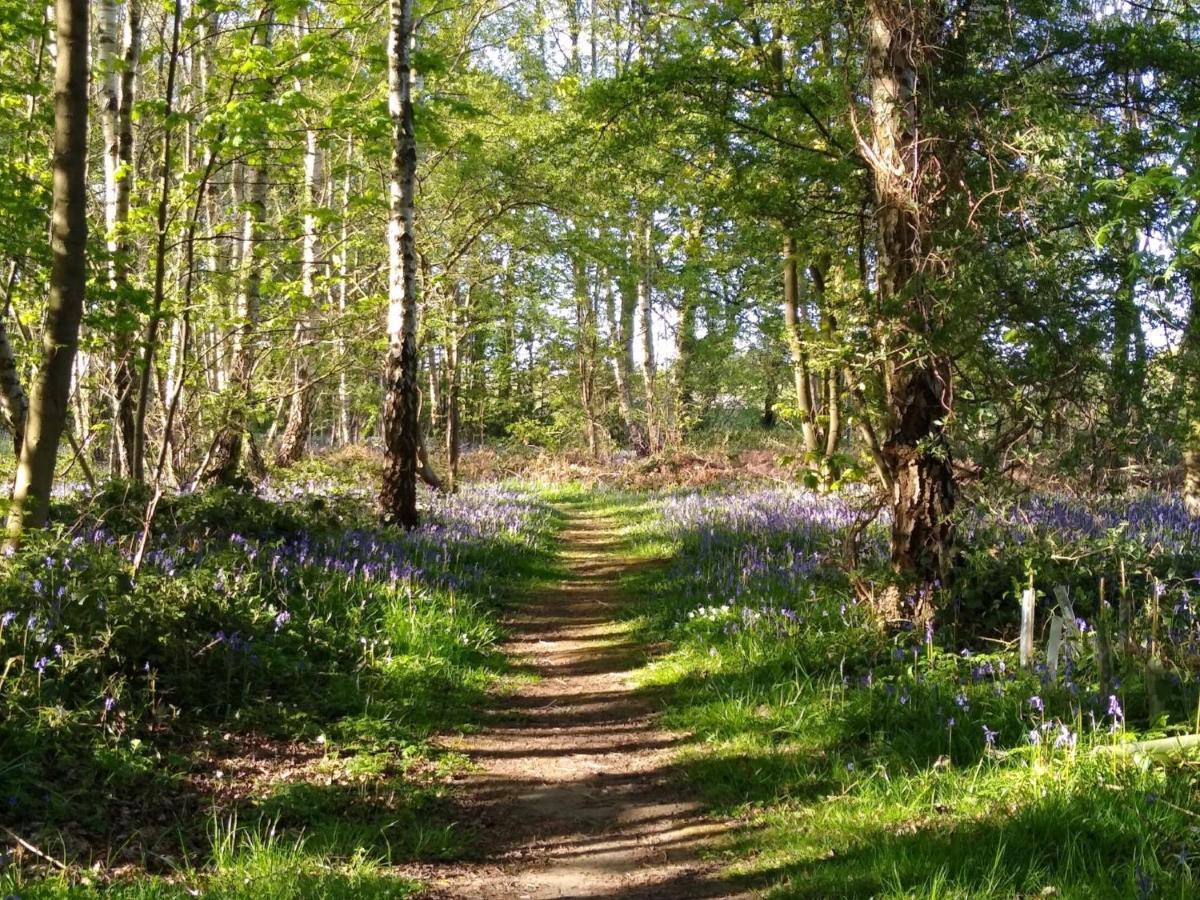 Hollicarrs Holiday Park - Hares Leap Riccall Экстерьер фото